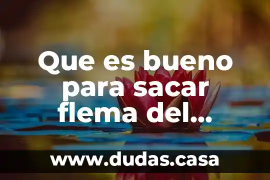 Que es bueno para sacar flema del pecho