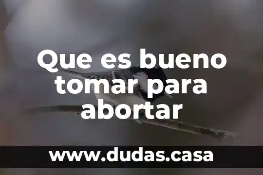 Que es bueno tomar para abortar