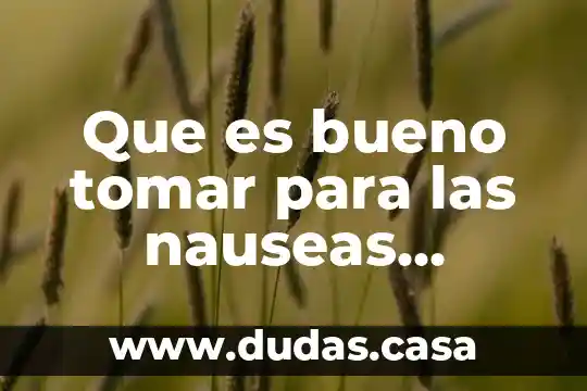Que es bueno tomar para las nauseas cuando estas embarazada