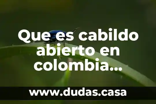 Que es cabildo abierto en colombia ejemplos