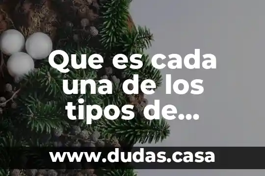 Que es cada una de los tipos de fracciones
