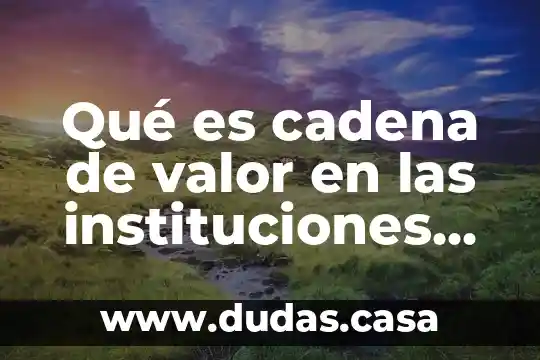 Qué es cadena de valor en las instituciones de salud