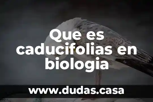 Que es caducifolias en biologia