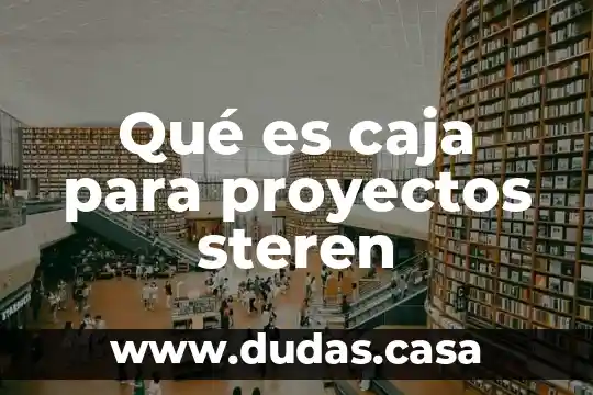 Qué es caja para proyectos steren