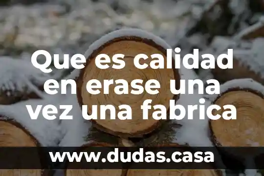 Que es lo aque hace un oparario en una fabrica 3 Que es calidad en erase una vez una fabrica