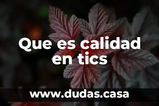 Que es calidad en tics