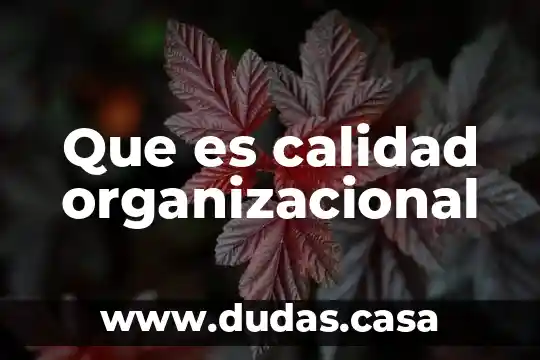 Que es calidad organizacional
