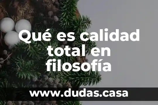 Qué es calidad total en filosofía