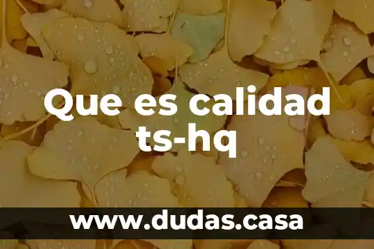 Que es calidad ts-hq