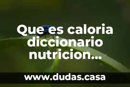 Que es caloria diccionario nutricion animal