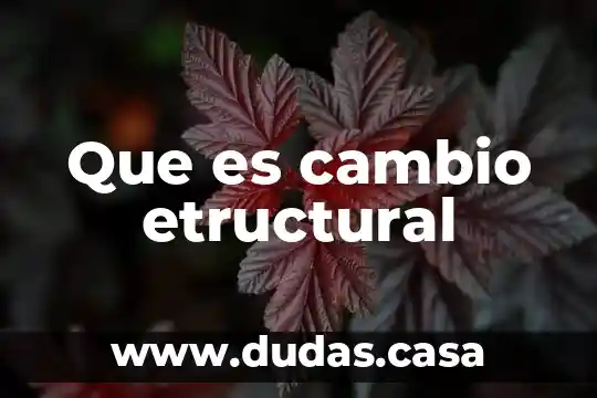Que es cambio etructural