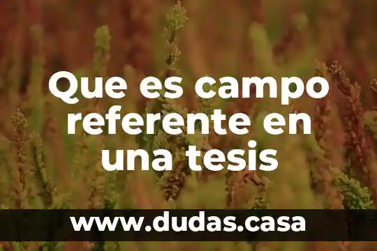 Que es campo referente en una tesis