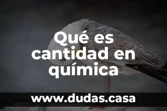 Qué es cantidad en química