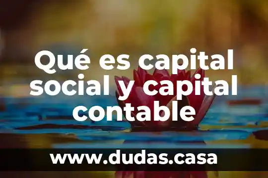 Qué es capital social y capital contable