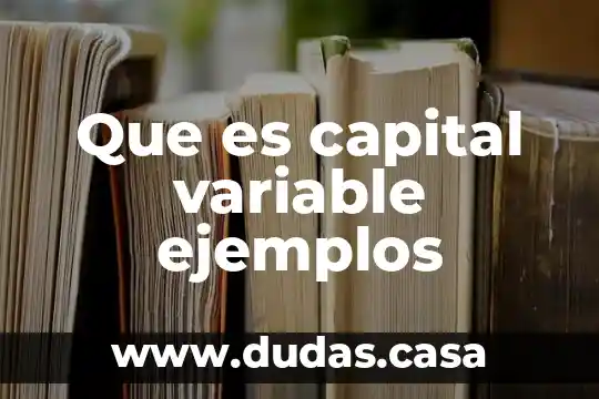 Que es capital variable ejemplos