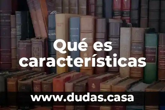 Qué es características