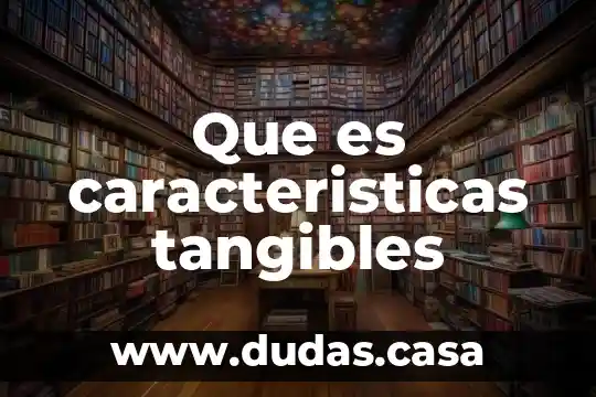 Que es caracteristicas tangibles