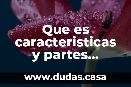 Que es caracteristicas y partes dlensayo argumentativo