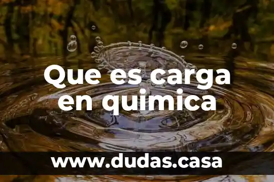 Que es carga en quimica
