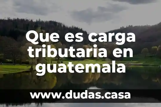 Que es carga tributaria en guatemala