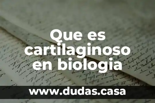 Que es cartilaginoso en biologia