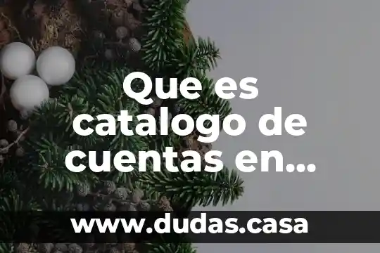 Que es catalogo de cuentas en contabilidad de la alpura