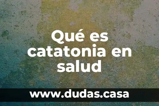 Qué es catatonia en salud