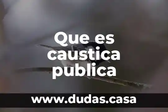 Que es instigacion publica a no pagar tributos 4 Que es caustica publica