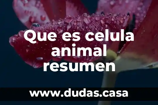 Que es celula animal resumen