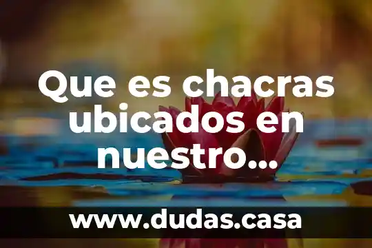 Que es chacras ubicados en nuestro organismo