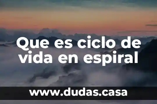 Que es ciclo de vida en espiral