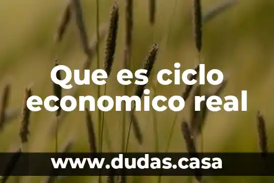 Que es ciclo economico real