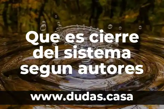 Que es cierre del sistema segun autores