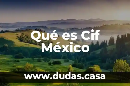 Qué es Cif México