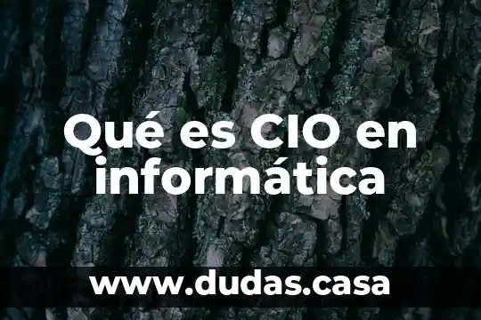 Qué es CIO en informática