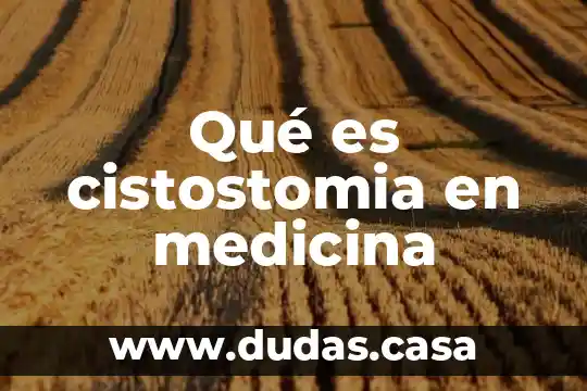 Qué es cistostomia en medicina