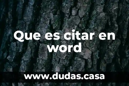 Que es citar en word