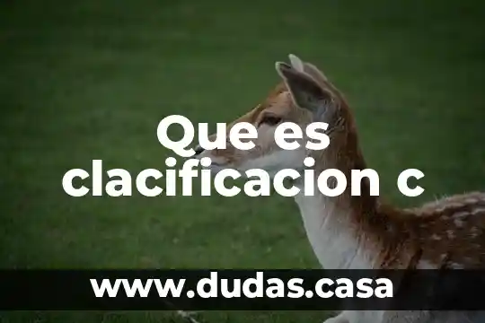 Que es clacificacion c
