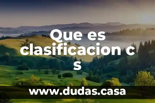 Que es clasificacion c s