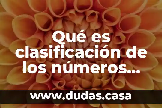 Qué es clasificación de los números reales