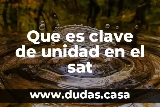 Que es clave de unidad en el sat