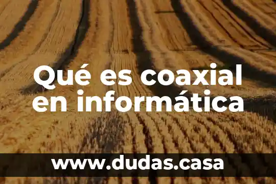 Qué es coaxial en informática