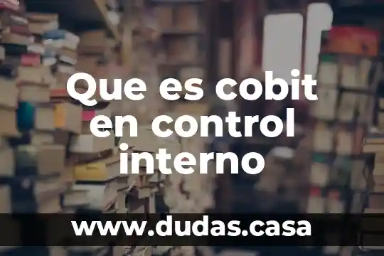 Que es cobit en control interno