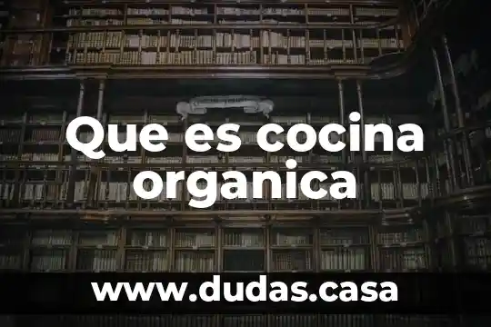 Que es cocina organica