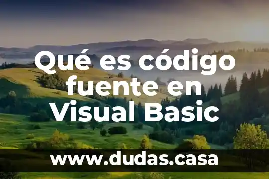 Qué es código fuente en Visual Basic
