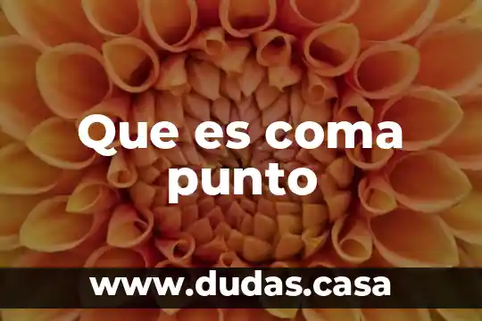 Que es coma punto