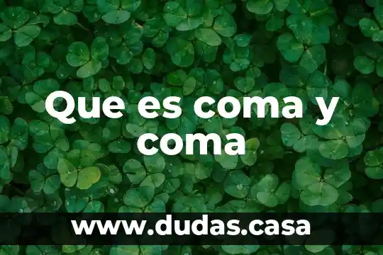 Que es coma y coma