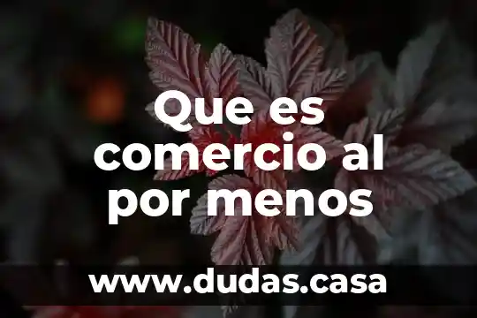 Que es comercio al por menos