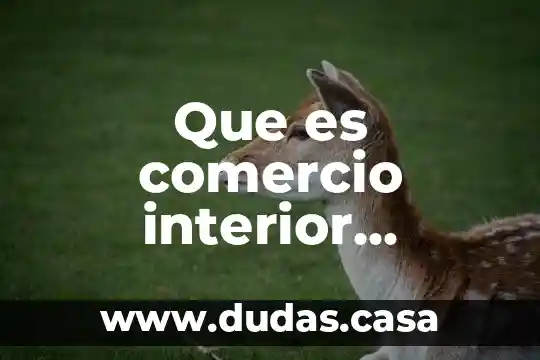 Que es comercio interior slideshare