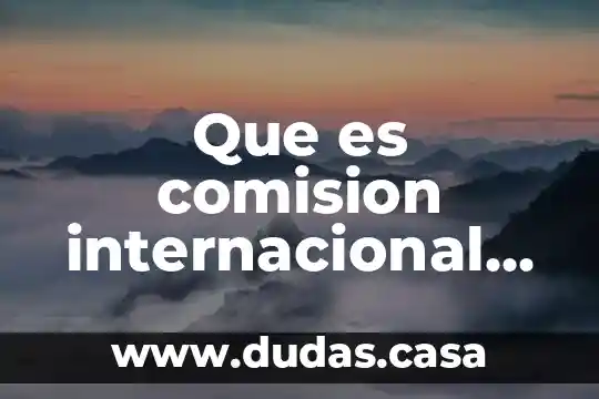Que es comision internacional de derechos humanos